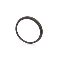 ABS Ring Sitz Alhambra/Altea/Toledo 04-