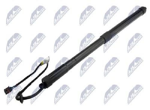 NTY Electric Tailgate Motor AE-NS-031 For Nissan Reinforced New