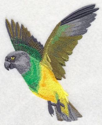 Senegals Pair Senegal Flying Senegal Perching Bird Parrots Embroidered Patches