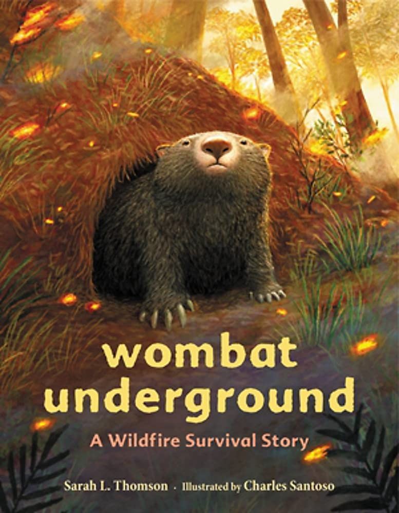Wombat Underground : A Wildfire Survival Story Charles Santoso - Image 7