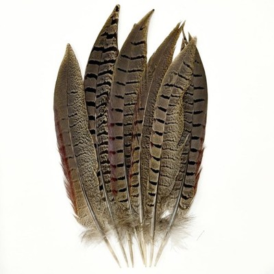 Male Pheasant Feathers Bulk 10pcs,Natural Long 8-10 inch (20-25cm) Feathers,f...