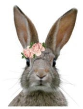 Peek A Boo Bunny Rabbit Shabby Roses Furniture Transfer Waterslide Decal AN844