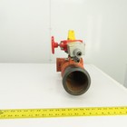 Foto 5 di 10