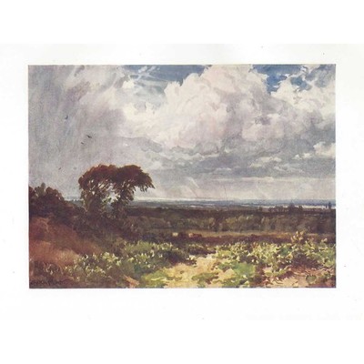 SURREY A Cloudy Sky Surrey - Antiker Druck 1906