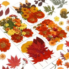 Augshy Fall Dried Pressed Flowers,100 Pcs Autumn Dried Flowers Leaves for Res...