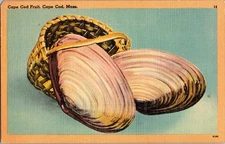 Vintage Cape Cod Fruit Linen Postcard by Tichnor Bros, Mass.