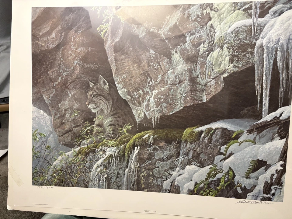 Robert Bateman - At the Cliff - Bobcat - Litografía S/N - Firmada - COMO NUEVO Foto 2 de 4