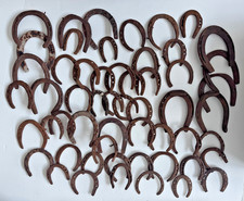 Lot of 54 Horseshoes Small Sizes, Western Decor, Metalworking Welding Craft