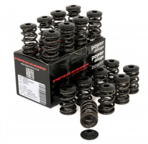 Peugeot 306 Gti 6 16v Piper Cams Double Valve Springs Inc Caps Ebay