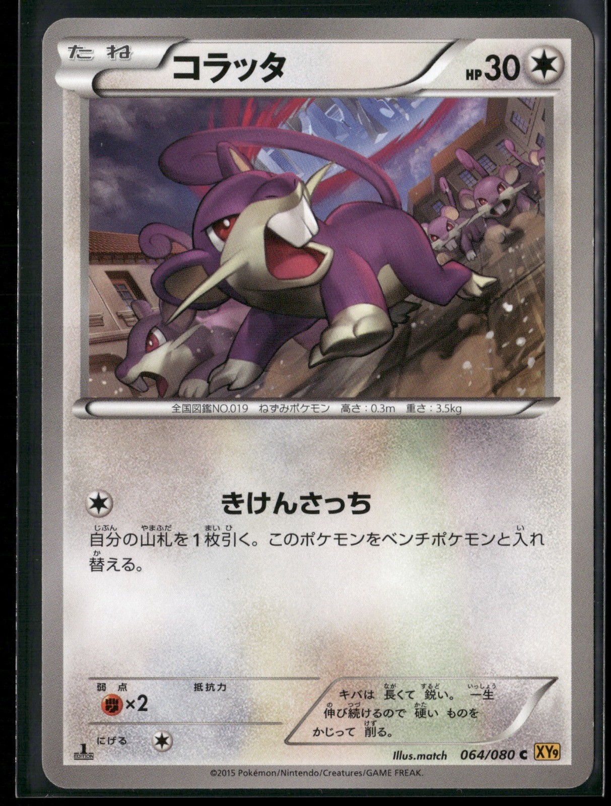 Rattata 1st Edition Common XY9: Rage of the Broken Heavens 064/080 2015