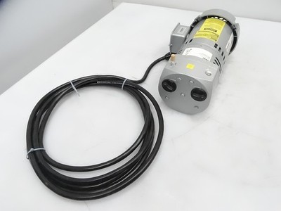 REGAL REXNORD 5K36GN166 MOTOR