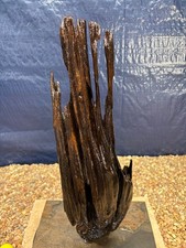 Driftwood Aquarium Reptile Terrarium Home Beach Decor Garden Art Taxidermy