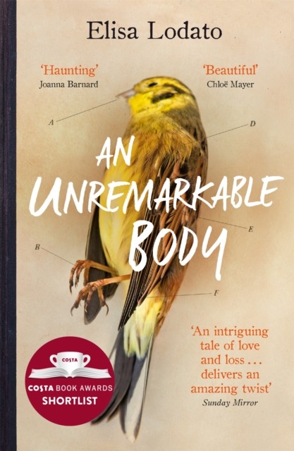 An Unremarkable Body by Elisa Lodato (Paperback Book)