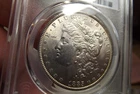 1885-P Morgan Silver Dollar Freshly graded  PCGS MS63