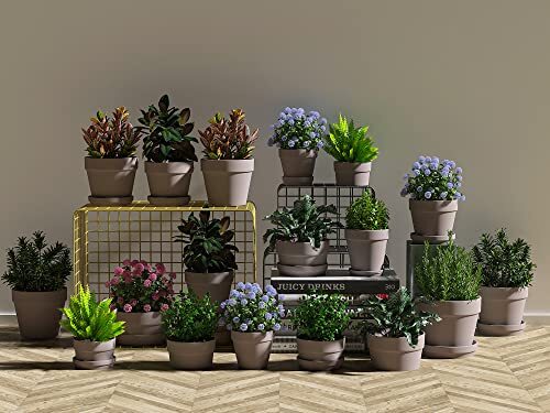 3 Inches Small Grey Terracotta Pots with Saucer, 12 Pack 3" Terra Cotta Gray - Picture 6 of 6