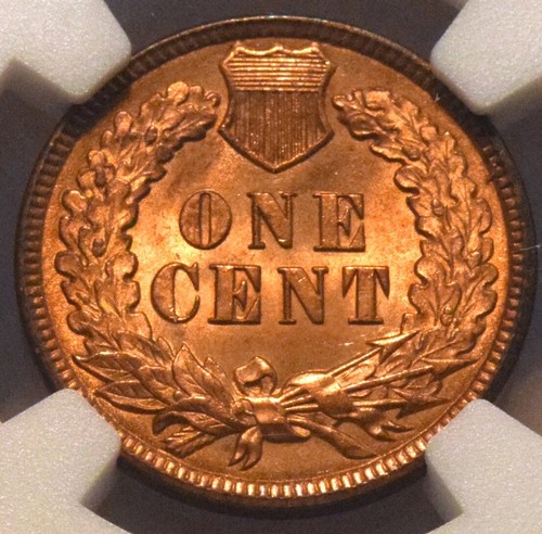 1892 1C NGC MS 64 RB Indian Head Cent, Looks RED, Choice Uncirculated Penny Type - Picture 11 of 12
