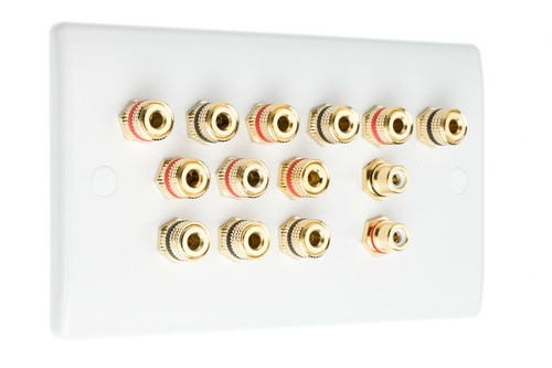 Audio Speaker AV 6.2 Wall Face Plate 12 Terminal Binding Posts + 2 RCA's - Imagen 4 de 18