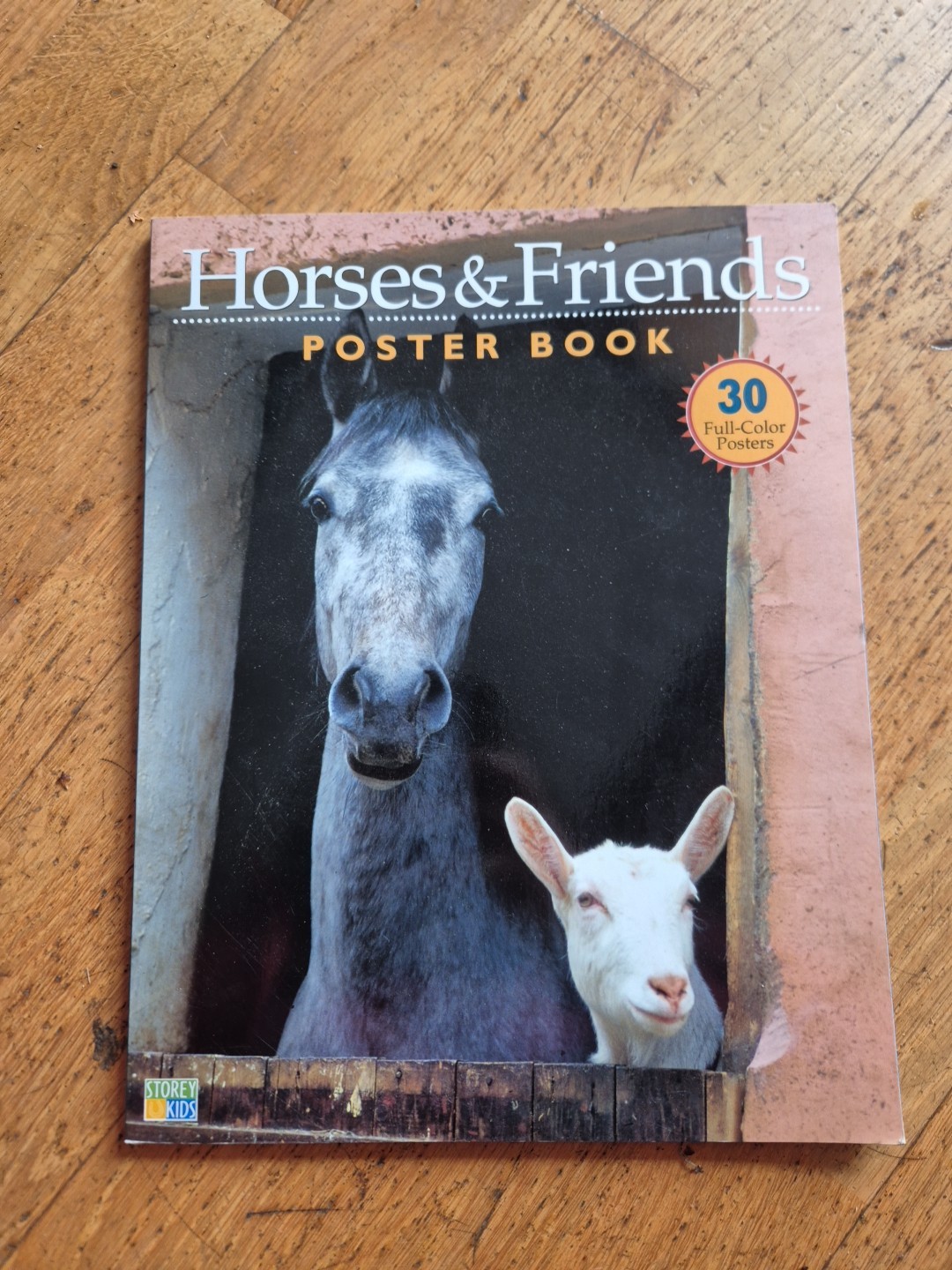 Horses & Friends Poster Book Horse posters pony ponies reference pictures animal