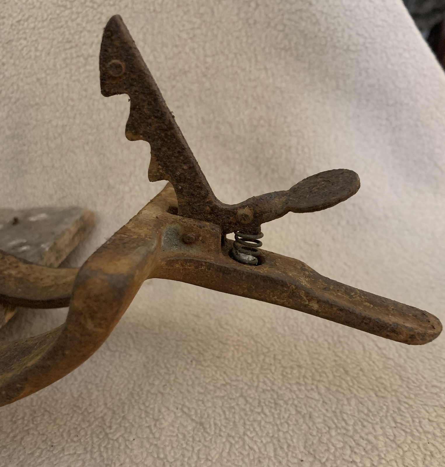 Antique Philadelphia Asparagus Buncher Old Farm Garden Old Board Mount