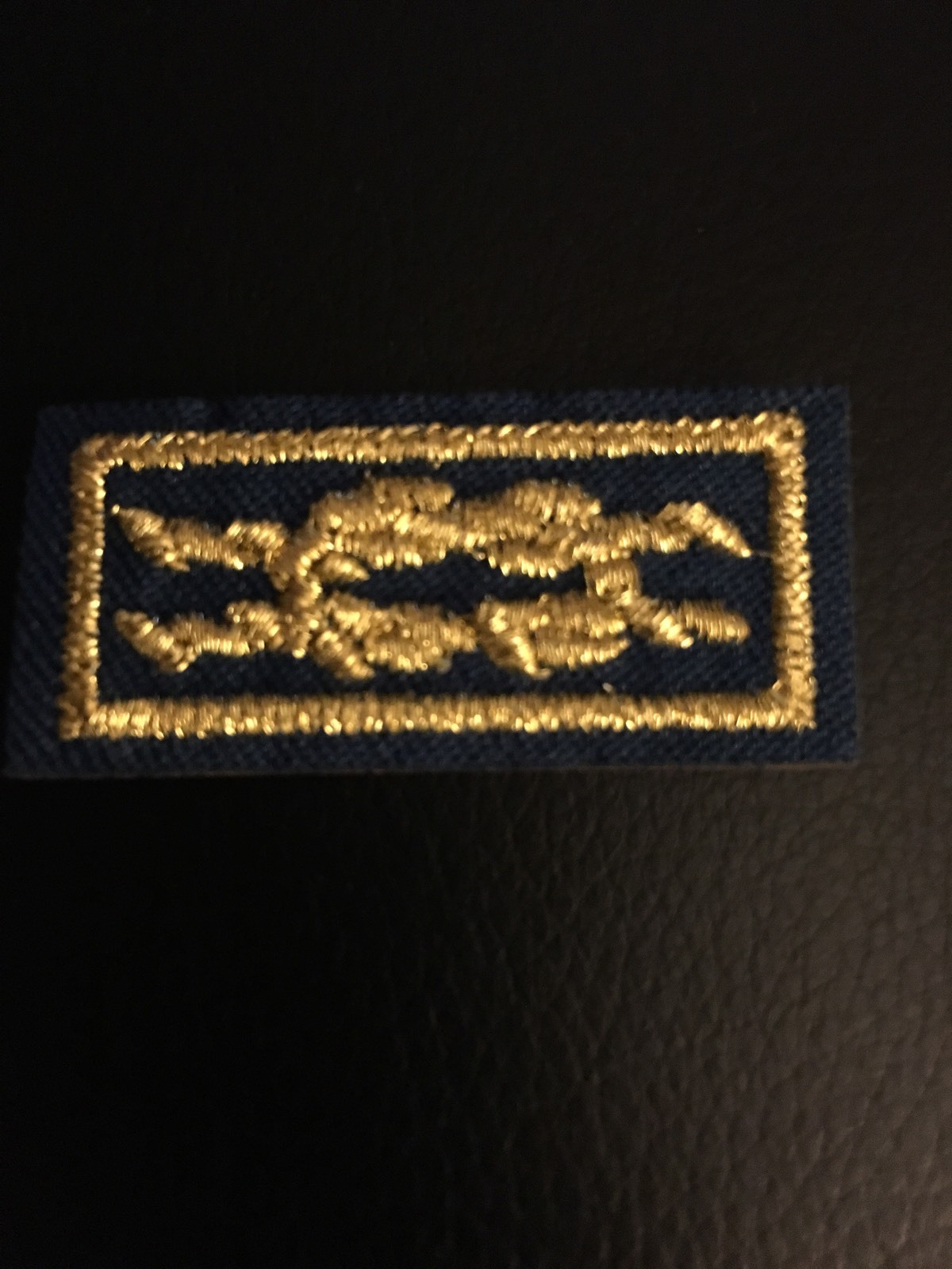 Unit Leader Award Of Merit Knot, Mint Rare Scout eBay