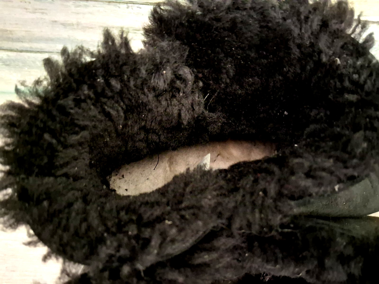 UGG MINI BAILEY BUTTON BLING BLACK SWAROVSKI CRYS… - image 10