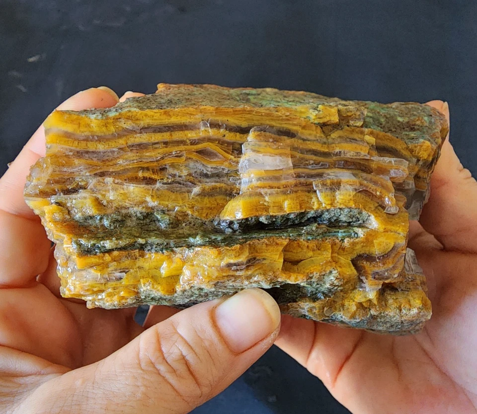 31.49 oz (893 gr) Agate and Chalcedony Limb Cast, Agatized Petrified Wood - Image 4 of 4