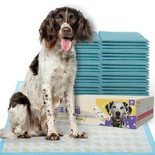 PETSWORLD Giant Dog Potty Pads, Odor-Eliminating, 36" x 36", Ultra Absorbent ...