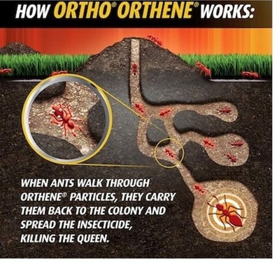 Ortho Orthene Fire Ant Killer Outdoor Ant Bait 1 pack Kills Queen 12oz