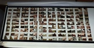 Lot 81 Photos Verre Stéréo 45x107 Voyage À Travers Le Var Divers Lieux 1919 1938