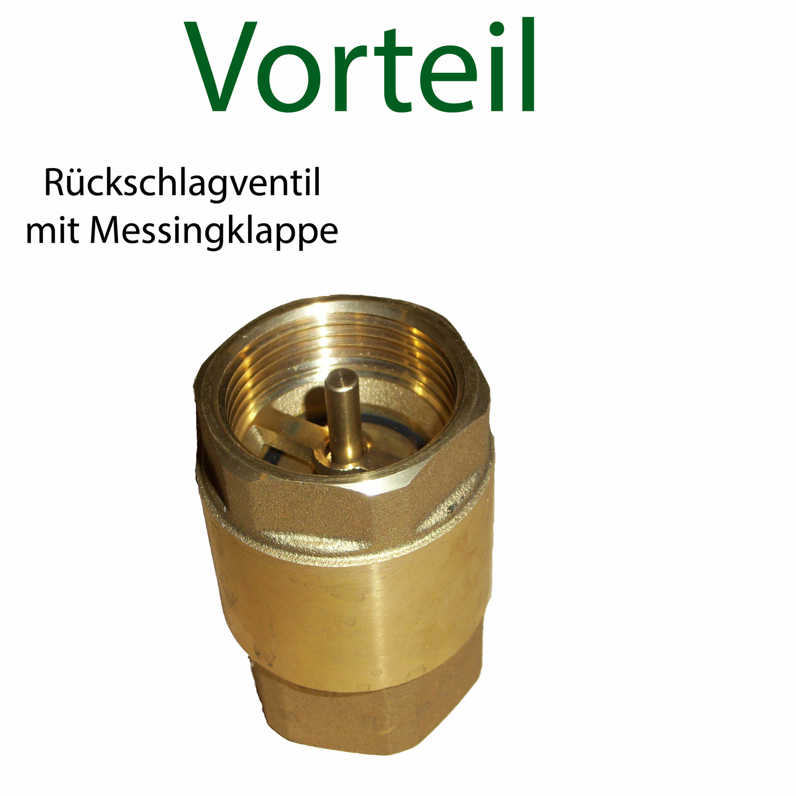 Bild 3 von 7