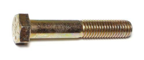 法螺貝37.3cm charm-box-hell-creek-cone-MAIN