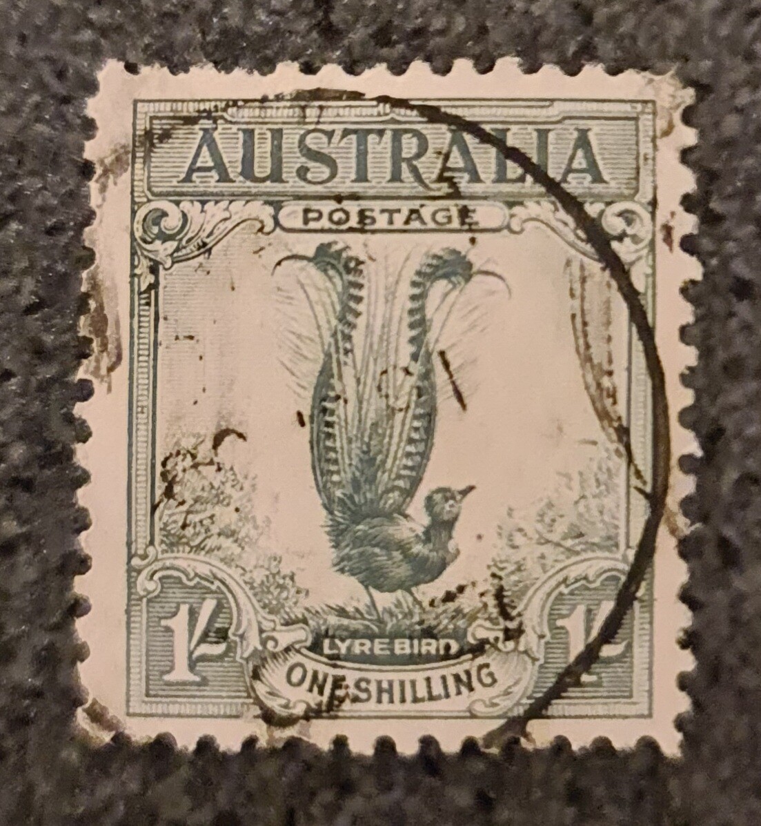 Australia Lyrebird Stamp One Shilling Australian Stamp eBay