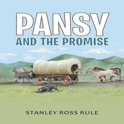 Pansy and the Promise Stanley Ross Rule Paperback Author Solution