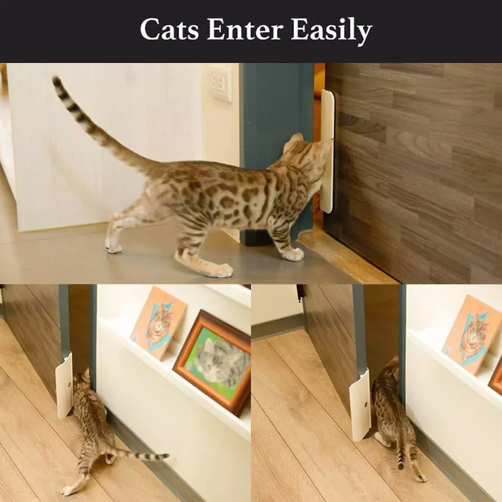 Troubleshooting your Electronic Pet Door