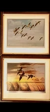 Set of 2 framed in real wood foil etchings of birds in flight by David A. Maass