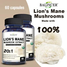 Lion's Mane Mushroom Extract Brings The Power of Nature Into Your Body