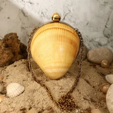Cockle Seashell Clutch Bag | Indian 100% Original Cardium Shell Minaudiere Purse