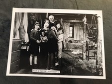 POLY À VENICE - Thierry Missud - PHOTO CINEMA 13x18