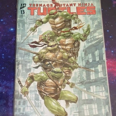 Teenage Mutant Ninja Turtles #13 Comic Book, Dustin Nguyen Cover 