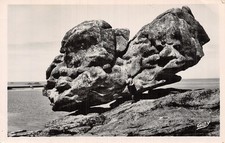 29 ILE DE SEIN LE SHINX