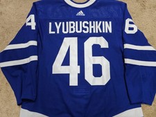 ILYA LYUBUSHKIN 23'24 Toronto Maple Leafs Photomatched Game Worn Hockey Jersey 3