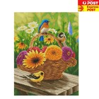 Beginner-Friendly Cross Stitch Kit with Birds and Flowers - Complete 40x50cm Set