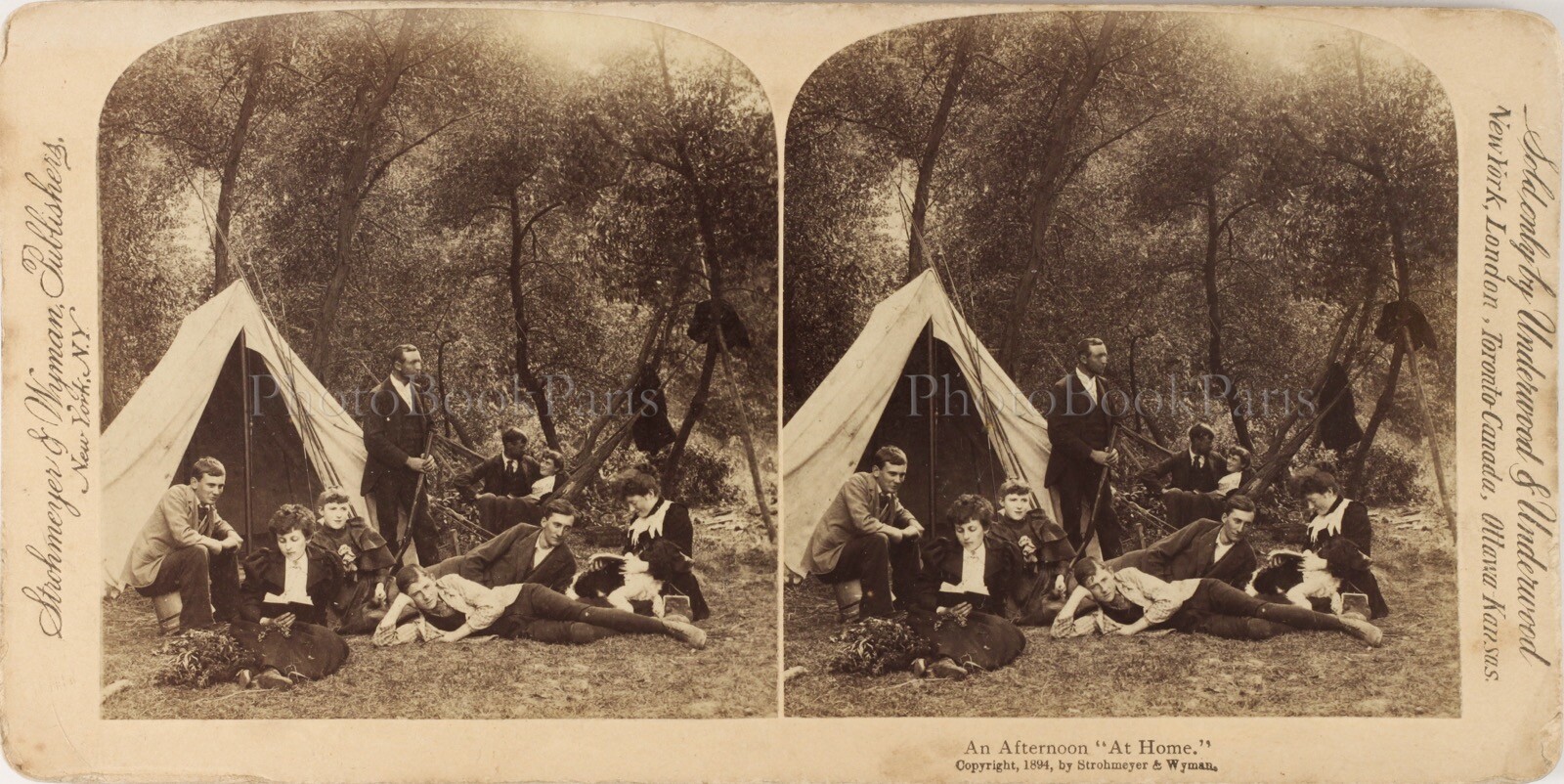 Estéreo Vivac De Familia Tienda Campaña Postal- Bosque, Natural, Foto Plata PL62