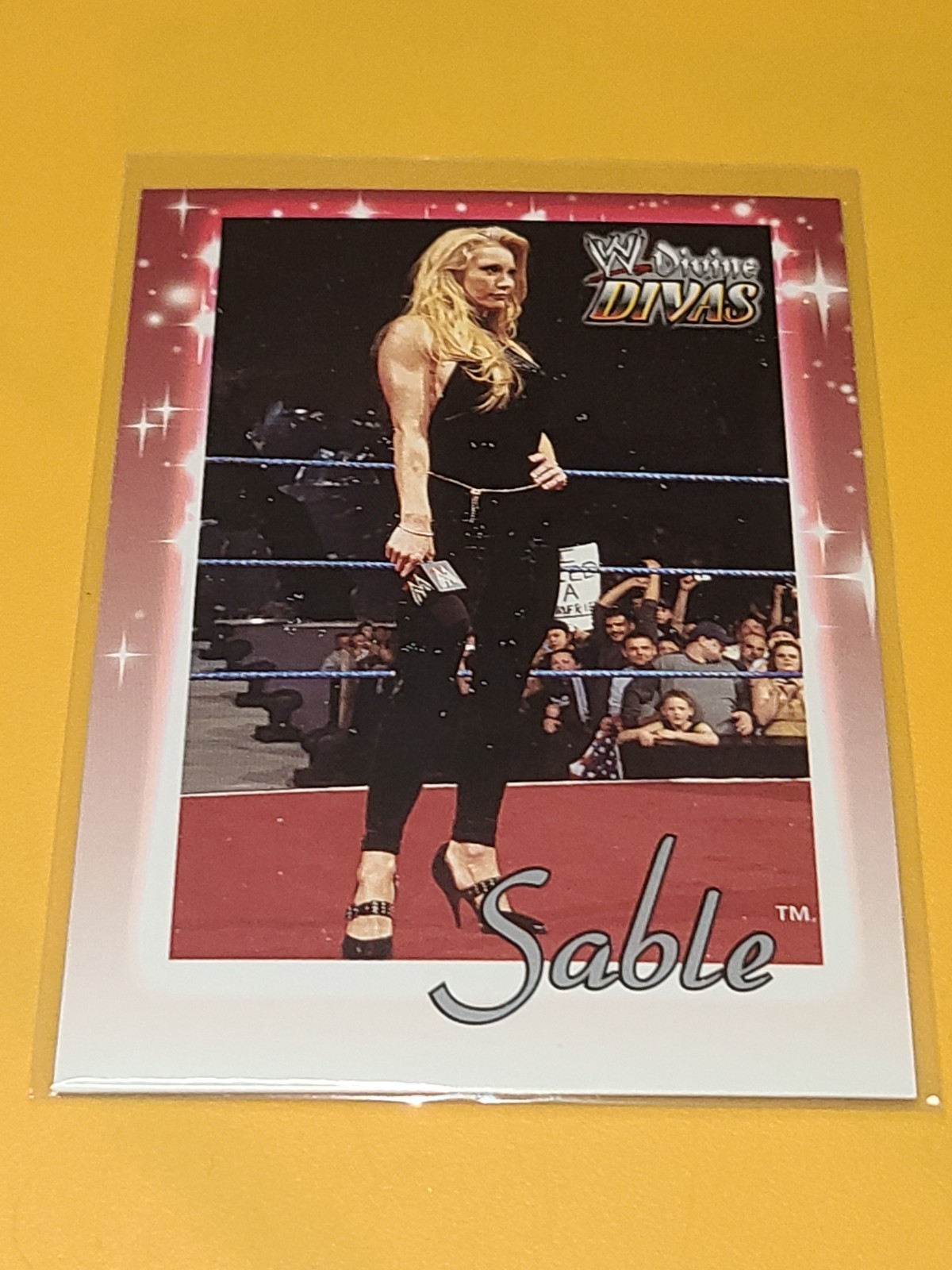 WWE WWF SABLE 2003 FLEER DIVINE DIVAS #13