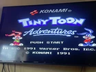 Tiny Toon Adventures ( Nintendo Entertainment System 1991)  TINY TOON ADVENTURES