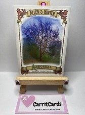 HORSE CHESTNUT 2021 Allen & Ginter Arboreal Appreciation #AA-6