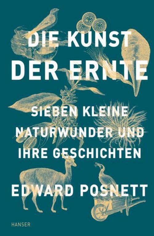 Thumbnail - Die Kunst Der Ernte Edward Posnett