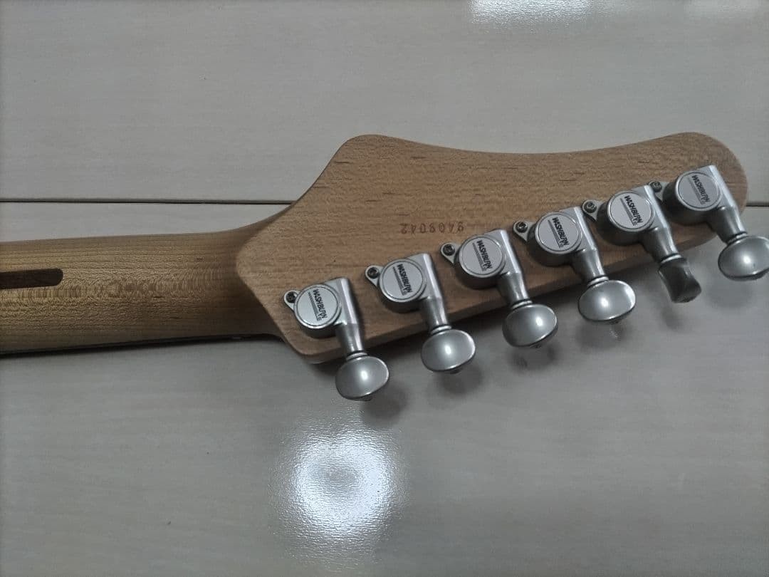 Washburn USA MG120 | eBay