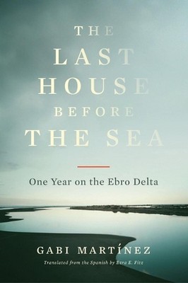 Delta: One Year on the Ebro Delta by Ezra E. Fitz (English) Paperback Book