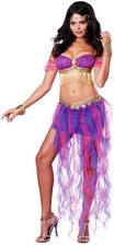 Belly Dancer Costume 01330 Gypsy Harem Exotic